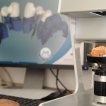 Erstellung von Zahnprothesen