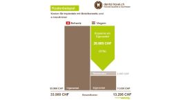 Preisvergleich für Implantate mit Metallkeramik- und e.max-Kronen, Schaubild der Kosten in Ungarn und der Schweiz